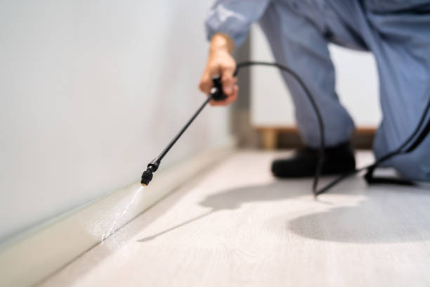 Bed Bug Pre-Treatment Preparation Assessment in River Road