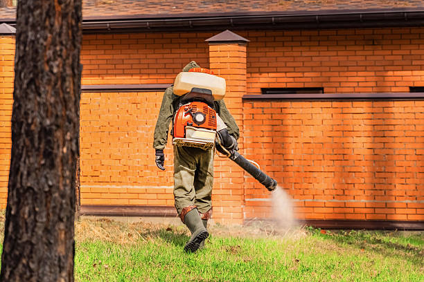 Bed Bug Clearance Verification and Documentation in River Road